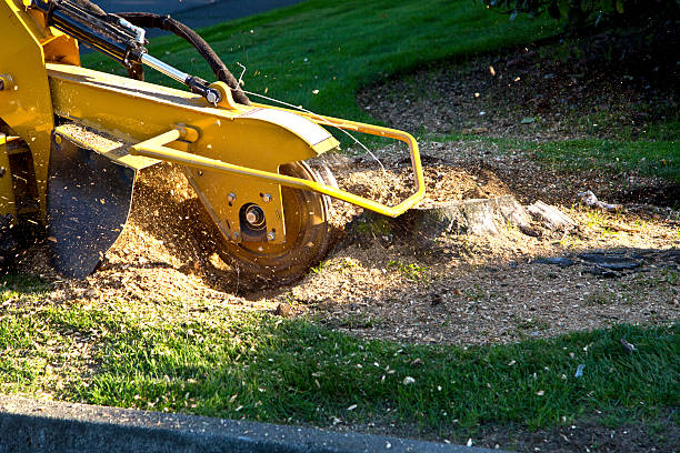 Lawn Irrigation Installation and Maintenance in Hohenwald, TN